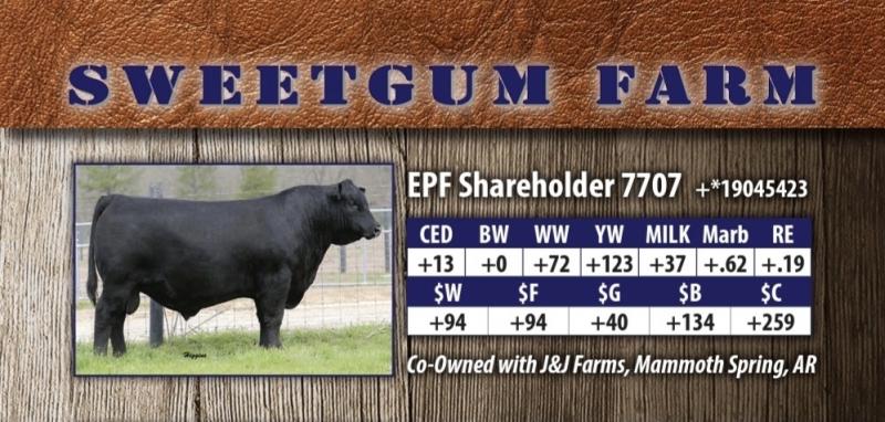 New herd sire and flush brother to Growth Fund. 